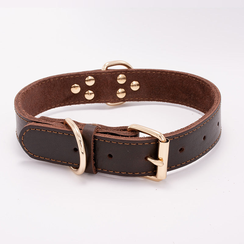 Halsband Leo