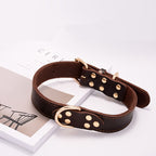 Halsband Leo