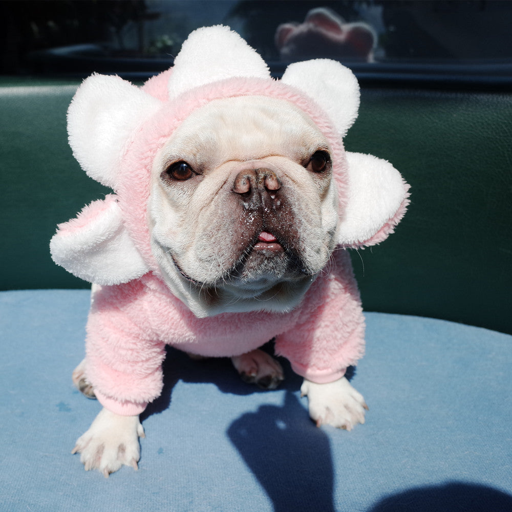 Dog Flower Sweater French Fighting Clothes Sun Flower Clothes Fleece Sweater