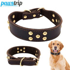 Halsband Leo