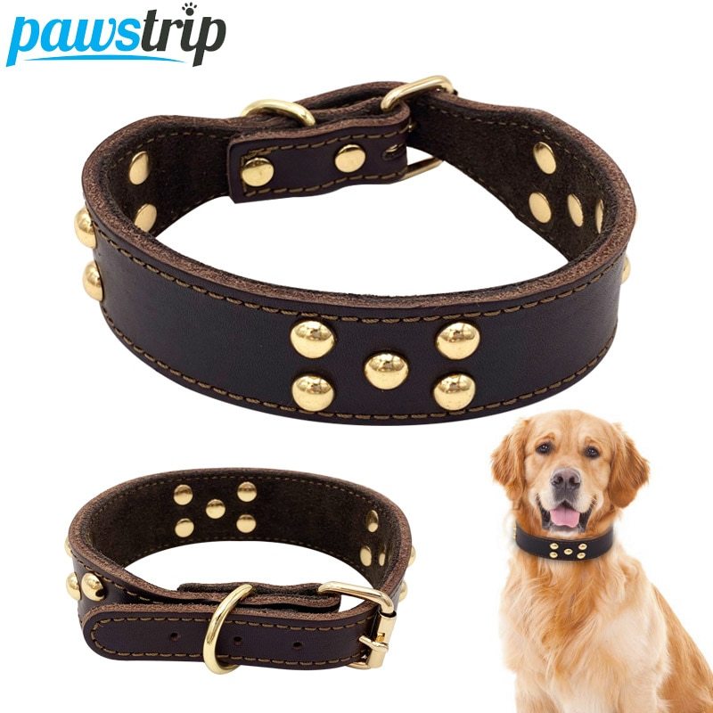 Halsband Leo