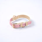 Set Jutta